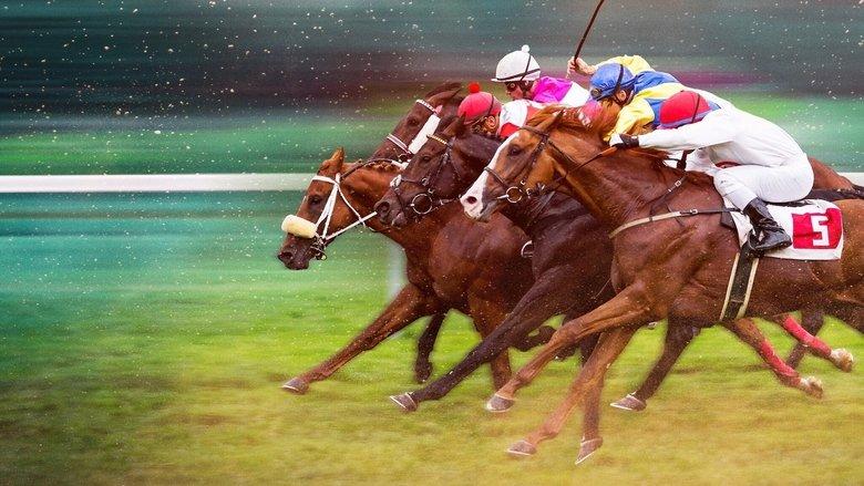 Race for the Crown image