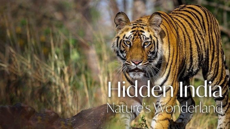 Hidden India image
