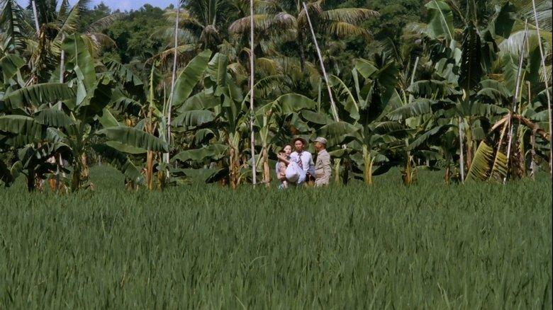 Banana Paradise image
