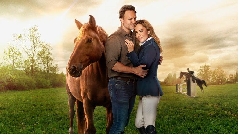 Taking the Reins image