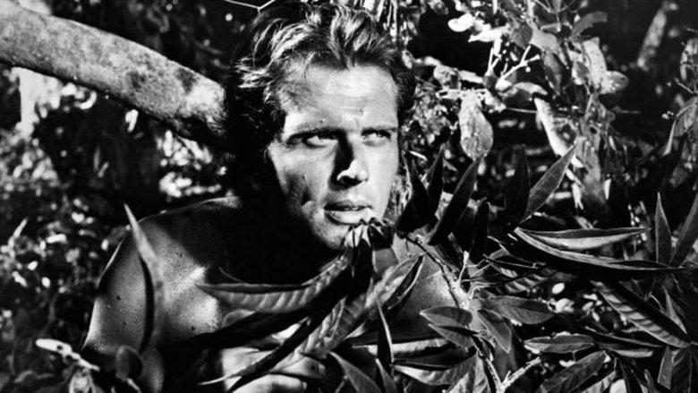 Tarzan image