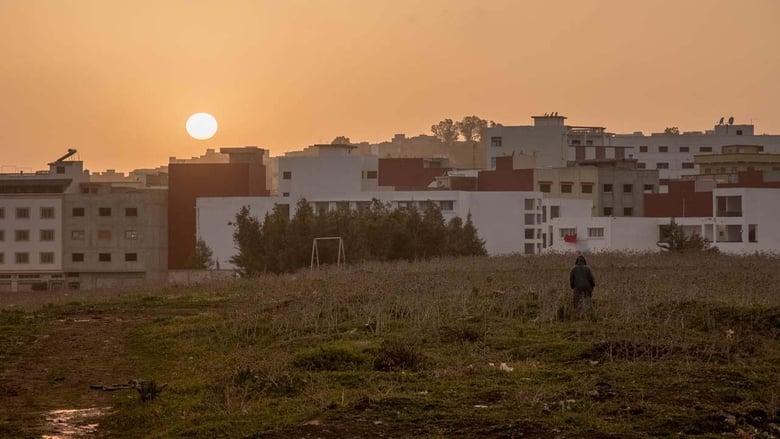 Palestine image