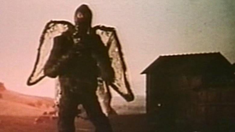 The Milpitas Monster image