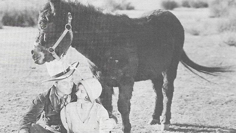 In Old Cheyenne image