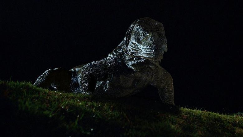 Komodo image
