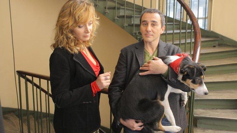 Un divorce de chien image