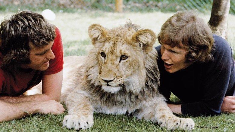 A Lion Called Christian image