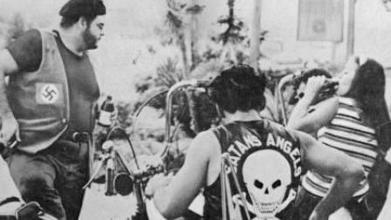 The Wild Rebels image