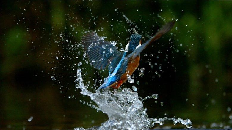 Ireland's Wild River image