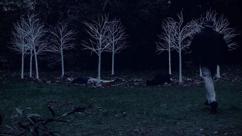 Queen of Hearts: A Twin Peaks Fan Film image