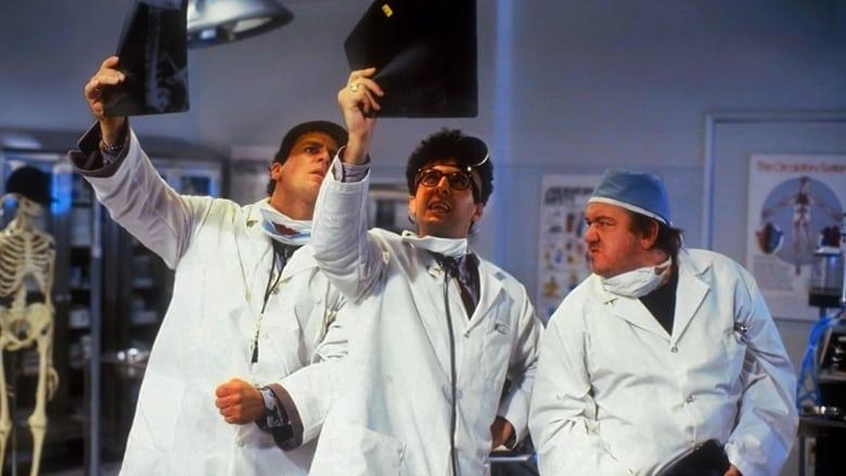 Brain Donors image