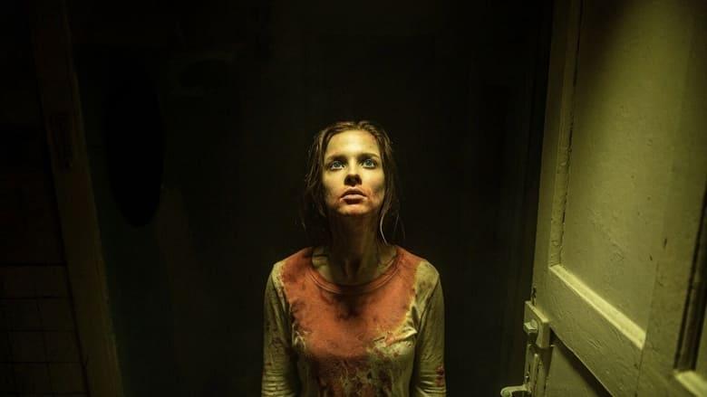 Sleepless Beauty image