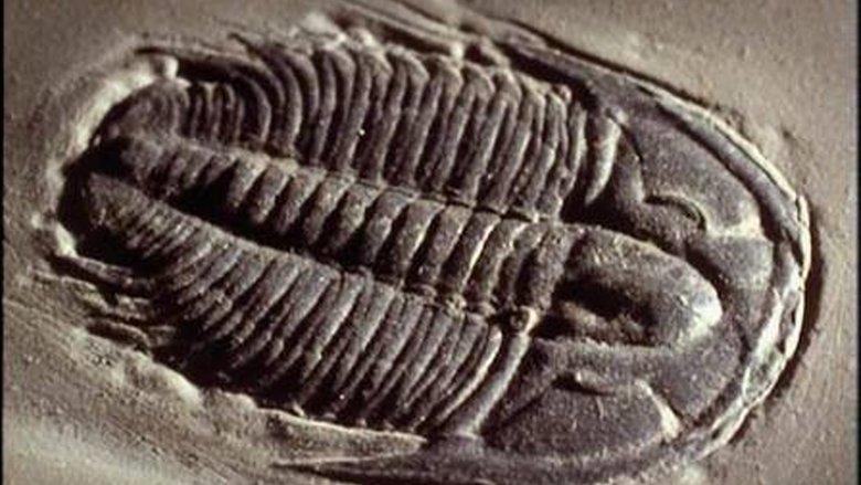Lost Worlds, Vanished Lives image