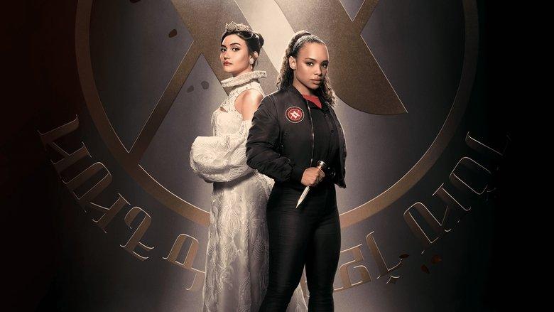 Vampire Academy image