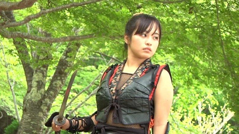 Lady Ninja Chiyome image