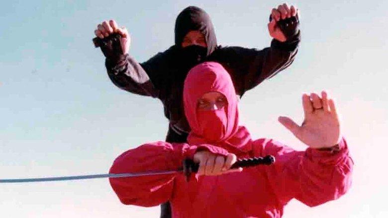 Diamond Ninja Force image