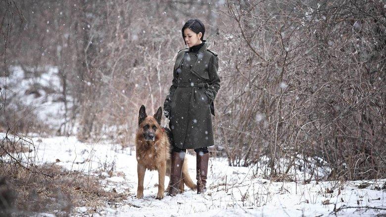 Venus in Furs image
