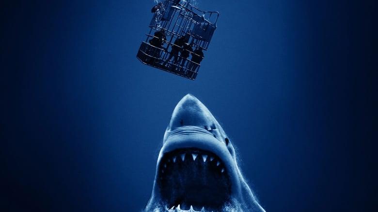 Cage Dive image