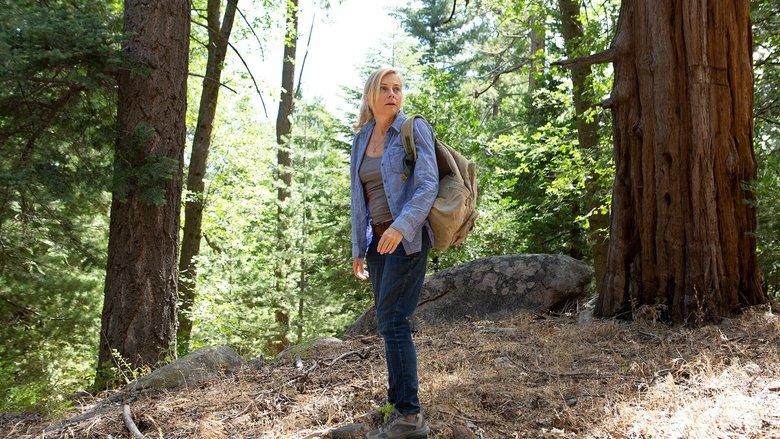 In the Forest image