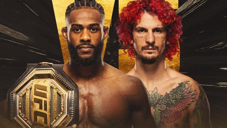 UFC 292: Sterling vs. O'Malley image