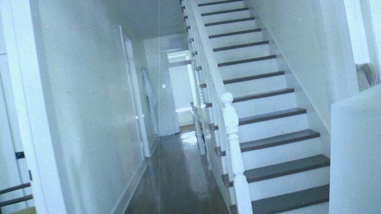 It Lives in the Attic image