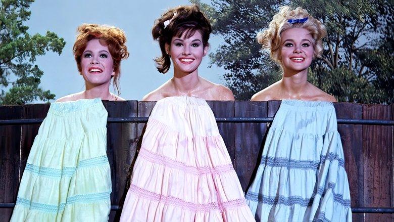 Petticoat Junction image