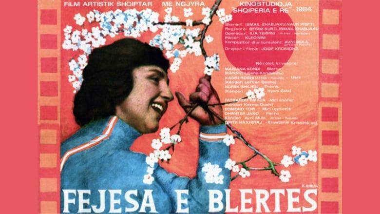 Blerta's Engagement image
