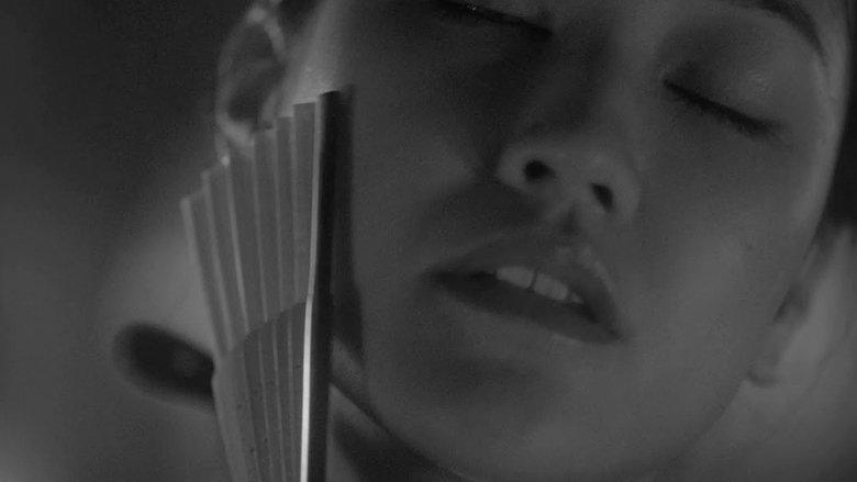 Between Shadow and Soul image