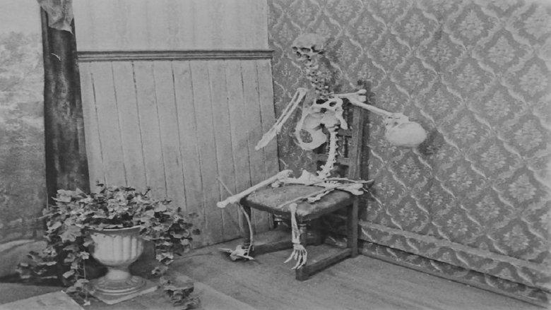 The Bones image
