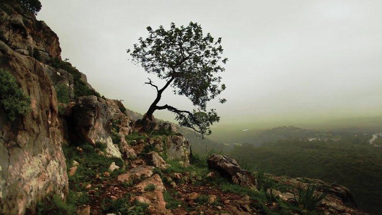Is Mindfulness Right for You? image