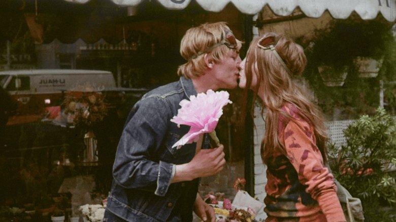 The Magic Garden of Stanley Sweetheart image