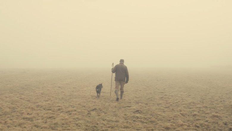 The Old Man and the Land image