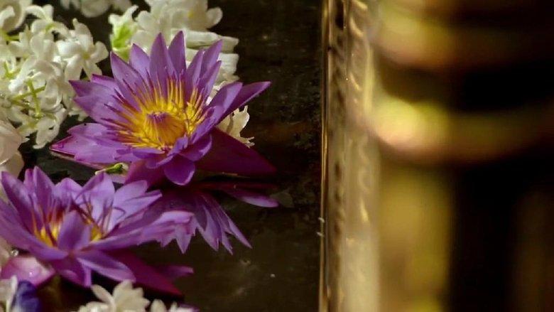 Seven Wonders of the Buddhist World image