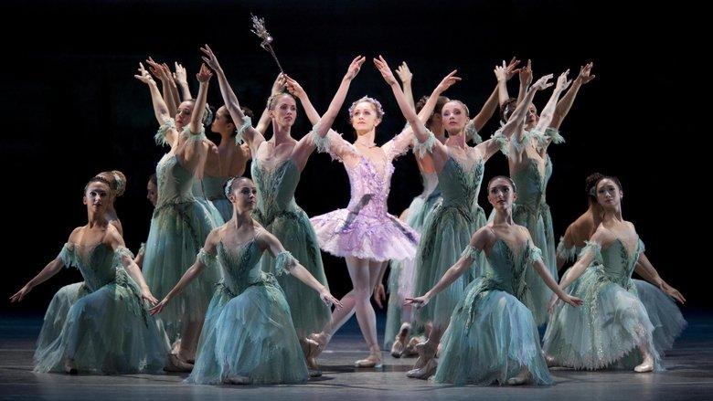 The Sleeping Beauty image