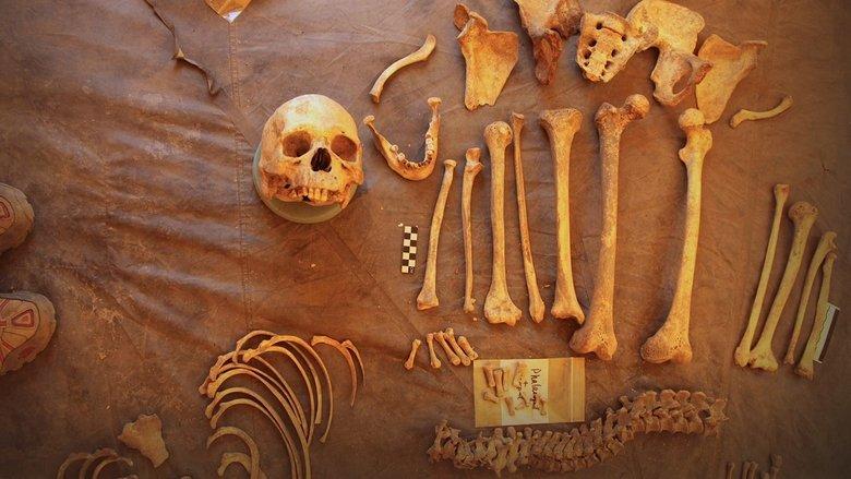 Mystery of The Himalayan Mummies image