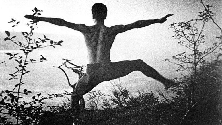 A Study in Choreography for Camera image