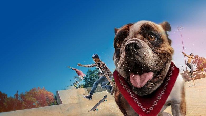 Sk8 Dawg image