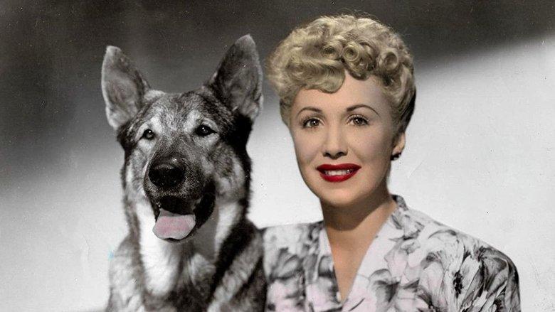 The Return of Rin Tin Tin image
