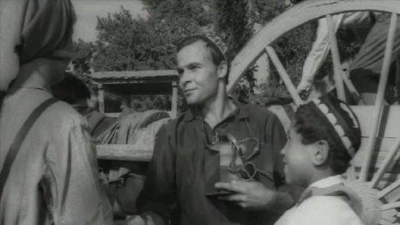 Hasan Arbakesh image