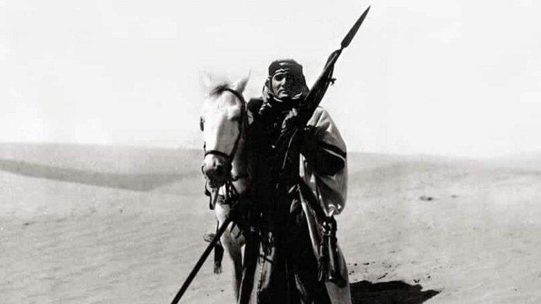 The Arab image