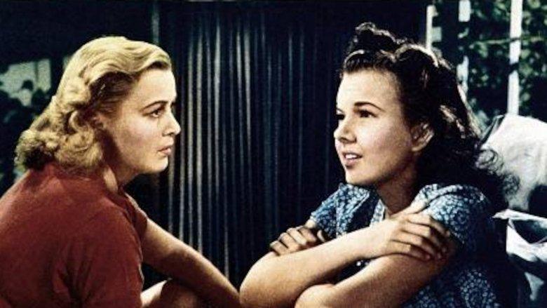 Gambling Daughters image