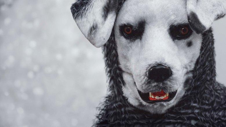 Good Boy image