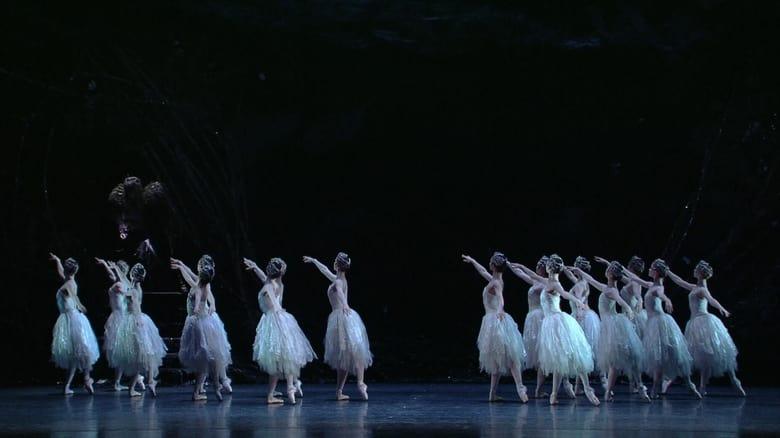 Swan Lake image