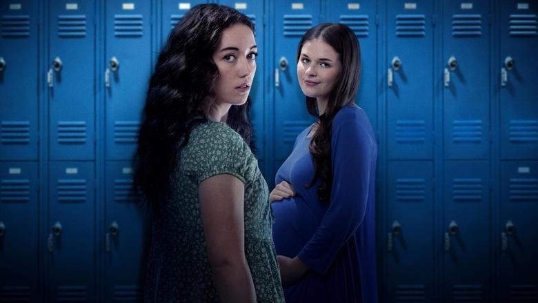The Pregnancy Promise image
