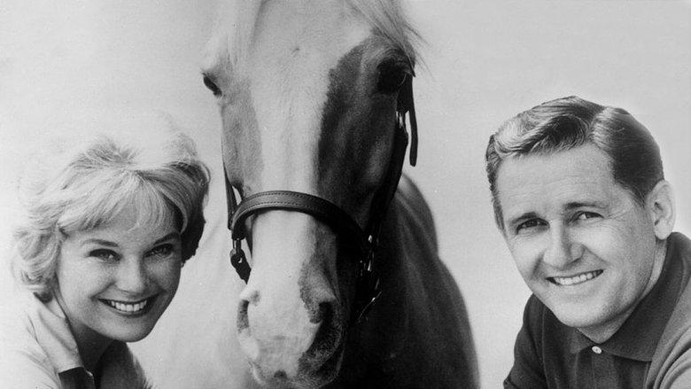 Mister Ed image