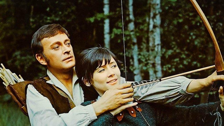 A Challenge for Robin Hood image