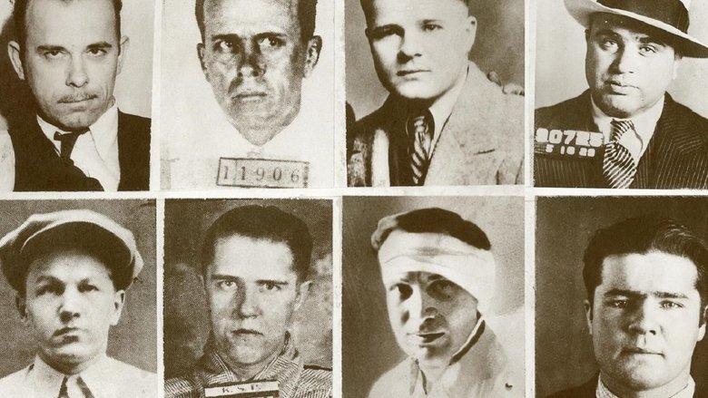 Natural Born Outlaws image