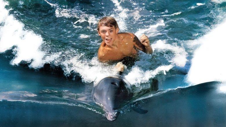 Flipper image