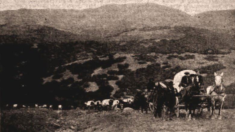 One Hundred Years of Mormonism image
