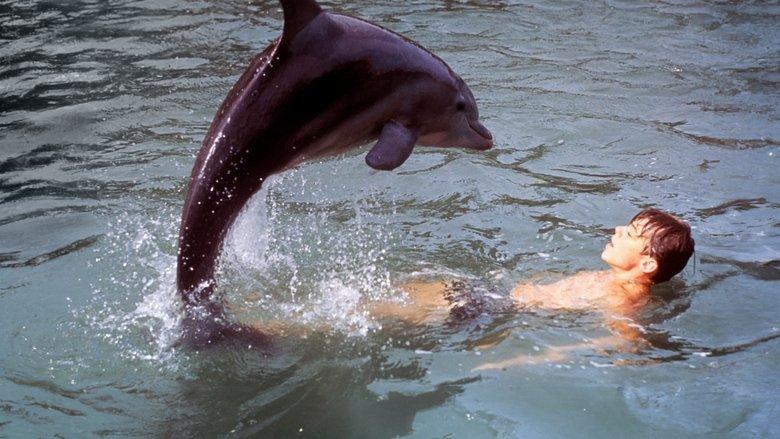 Flipper's New Adventure image